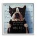 Stupell Industries Funny Boston Terrier Dog Jail Convicted Police By Lucia Heffernan Wood in Brown | 12 H x 12 W x 0.5 D in | Wayfair