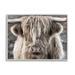 Stupell Industries Detailed Highlands Cattle Rural Farm Animal by Danita Delimont - Floater Frame Photograph on Canvas in Brown | Wayfair