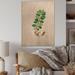 August Grove® Vintage Plant Life XVII - Unframed Painting on Wood Metal in Brown/Green/Pink | 32 H x 16 W x 1 D in | Wayfair