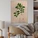 August Grove® Vintage Plant Life XIX - Unframed Graphic Art on Wood in Brown/Green | 20 H x 12 W x 1 D in | Wayfair