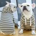 Mosey Useful Pet Outfits Artistic for Spring Comfortable