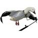 Deadly Decoys FLY-Rot-1 Rotary Machine Attractive Multicolor Flyer