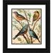W. A . Blakston 20x23 Black Ornate Framed Double Matted Museum Art Print Titled: Nonpareil Finch Pekin Nightingale Common Blue Bird Indigo Bird (1878)