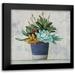 Purinton Julia 15x15 Black Modern Framed Museum Art Print Titled - Succulent Still Life I Navy