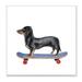 Dachshund Pet Dog on Blue Skateboard 12 in x 12 in Framed Painting Art Prints by Stupell Home DÃ©cor