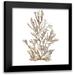 Wild Apple Portfolio 15x15 Black Modern Framed Museum Art Print Titled - Pacific Sea Mosses XVI White Sq