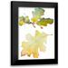 Loreth Lanie 11x14 Black Modern Framed Museum Art Print Titled - Acorns and Oak Leaves I