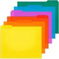 12 Pack Plastic File Folders Colored with Sticky Labels Heavy Duty Plastic Colored File Folders Letter Size with Erasable 1/3-Cut Tab Stronger File Folder Perfect for Organization