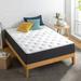 Queen Medium 10" Hybrid Mattress - Zinus | 80 H x 60 W 10 D in Wayfair MSSEGP-10Q