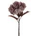 Vickerman 18.5 Plum Green Artificial Dried Hydrangea Spray 2 per Bag.