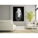 Artful Printers White Horse Face - Unframed Photograph Metal in Black/White | 30 H x 40 W x 1 D in | Wayfair AC-30403606