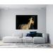 Artful Printers White Stallion Horse Sunset - Unframed Photograph Plastic/Acrylic in Black/White | 20 H x 30 W x 1 D in | Wayfair AC-20303609