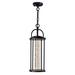 CWI Lighting Greenwood 18 Inch Tall LED Outdoor Hanging Lantern - 0407P6-1-101