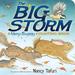 Pre-Owned The Big Storm: A Very Soggy Counting Book (Classic Board Books) (Board book) 144248179X