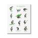 Stupell Industries Athletic Kiwi Various Exercises Bird Drawings Chart Graphic Art Gallery Wrapped Canvas Print Wall Art Design by Amelie Legault