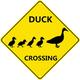 Duck Crossing Signs - Duck Crossing Sign Reflective Metal 12 x12 Duck Pond Sign Farm Organic Country Petka Signs and Graphics Suitable for Indoor and Outdoor Ducks Sign Backyard Garage Cave Office