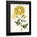 Curtis 17x24 Black Modern Framed Museum Art Print Titled - Floral Lace IV