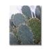 Stupell Industries Prickly Cactus Thorns Close Up Photography Desert Vegetation Photograph Gallery Wrapped Canvas Print Wall Art Design by Jeff Poe Photography