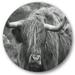 Designart Close Up Of Scottish Cow On Moorland I Farmhouse Circle Metal Wall Art 29x29 - Disc of 29