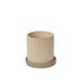 AllModern Emme Ceramic Pot Planter Ceramic | 3.75 H x 3.5 W x 3.5 D in | Wayfair D533B36B793C47AA87CB3C771F985175