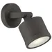 Access Lighting Zone Outdoor Wall Sconce - 20341LEDDMGLP-BRZ/FST
