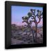 Fitzharris Tim 20x24 Black Modern Framed Museum Art Print Titled - Joshua Tree at Joshua Tree National Park