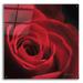 Epic Art The Red Rose I by Lori Deiter Acrylic Glass Wall Art 36 x36
