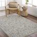 Amaru 5' x 7'5" Traditional Taupe/Off White/Dusty Sage/Light Gray/Deep Teal/Olive/Mustard Area Rug - Hauteloom