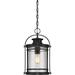 1 Light Mini Pendant in Transitional Style-17.75 inches Tall and 10.5 inches Wide Bailey Street Home 71-Bel-4618412