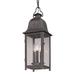 Troy Lighting Larchmont 23 Inch Tall 3 Light Outdoor Hanging Lantern - F3217-VBZ