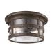 Troy Lighting Barbosa 15 Inch 2 Light Outdoor Flush Mount - C3310-APW