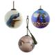 La Pastiche Pleasant Contact Glass Ornament Collection (Set of 3) with, 3.5" x 3.5" - 3.5" x 3.5"