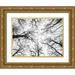 Frank Assaf 24x19 Gold Ornate Wood Framed with Double Matting Museum Art Print Titled - Low angle view of tree tops