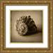 Heather Jacks 15x15 Gold Ornate Wood Framed with Double Matting Museum Art Print Titled - Seashell Study II