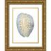 Vision Studio 19x24 Gold Ornate Wood Framed with Double Matting Museum Art Print Titled - Silver Foil Shell II with Hand Color