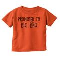 Promoted to Big Brother Announcement Youth T Shirt Tee Boys Infant Toddler Brisco Brands 2T