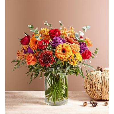 1-800-Flowers Seasonal Gift Delivery Expressions Of Fall Bouquet Medium