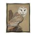 Stupell Industries Barn Owl Bird Perched Gazing Wildlife Animal Painting Painting Luster Gray Floating Framed Canvas Print Wall Art Design by Jacob Green