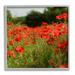 Stupell Industries Brilliant Red Poppy Meadow Scenic Flower Blooms Photograph Gray Framed Art Print Wall Art Design by Dan Meneely