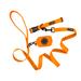 Neon Orange 3 Piece Dog Bundle with Matching Collar, Leash and Waste Bag Holder, Small