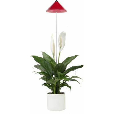 Parus by Venso SUNLiTE 7W led Vollspektrum Pflanzenlampe Rot, Indoor Plants Pflanzen Beleuchtung,