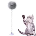 Jouets interactifs élastiques en plastique pour chats boule à pompons produits pour animaux de