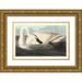 Audubon John James 18x13 Gold Ornate Wood Framed with Double Matting Museum Art Print Titled - Trumpeter Swan