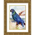 Stellar Design Studio 17x24 Gold Ornate Wood Framed with Double Matting Museum Art Print Titled - Blue Parrot on Branch 2