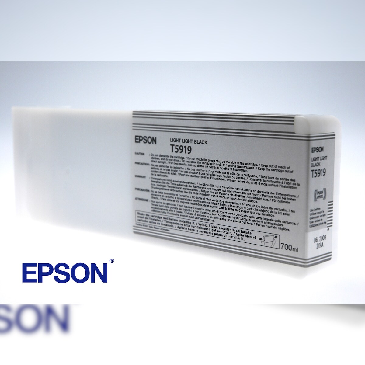 Epson Singlepack Light Light Black T591900 Image