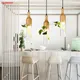 Plante LED suspendue au design moderne design industriel luminaire décoratif d'intérieur idéal