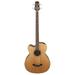 Takamine GB30CE Left-Handed Acoustic-Electric Bass (Natural)
