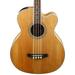 Takamine GB72CE Acoustic-Electric Bass Guitar (Natural)