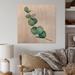 Winston Porter Young Eucalyptus Leaves & Branches II - Traditional Wall Art Décor - Natural Pine in Brown/Green | 30 H x 30 W x 1 D in | Wayfair