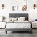Lark Manor™ Aleiny Velvet Bed w/ Adjustable Headboard Upholstered/Velvet in Gray | 49.2 H x 78 W x 81.3 D in | Wayfair